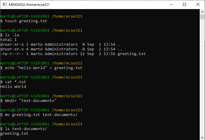 terminal touch ls echo cat mkdir mv